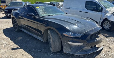 W24078_2019_MUSTANG ECOBOOST_2.3L.jpg