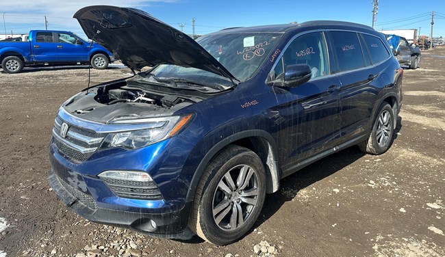 W25022_2016_PILOTEX-L_3.5L.jpg