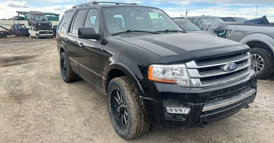 W25032_2017_EXPEDITION_3.5L ECOBOOST.jpg
