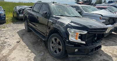 W25065_2020_F150_5.0L.jpg