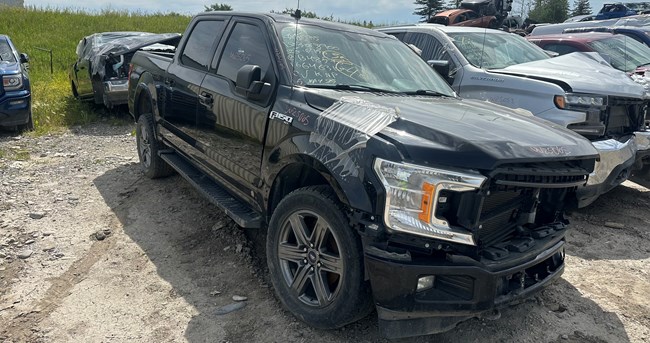 W25065_2020_F150_5.0L.jpg