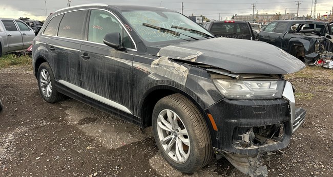W25111_2019_AUDIQ7_3.0L.jpeg