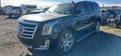 W25112_2015_ESCALADE_6.2L.jpeg