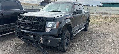 W26045_2012_F150_5.0L.jpeg