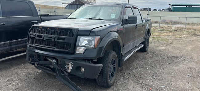 W26045_2012_F150_5.0L.jpeg