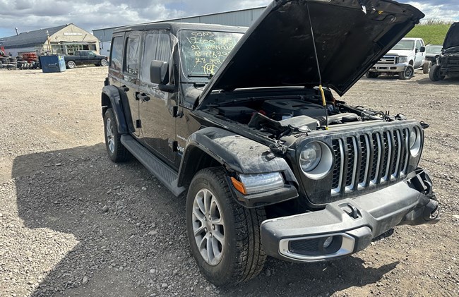 W26051_2021_WRANGLER_2.0L.jpeg
