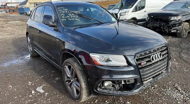 W26136_2015_AUDIQ5_3.0L.jpeg
