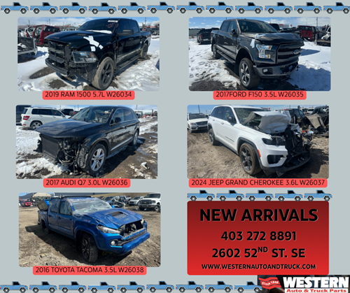 new arrivals