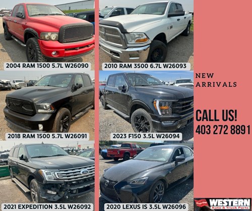 Western Auto New Arrivals